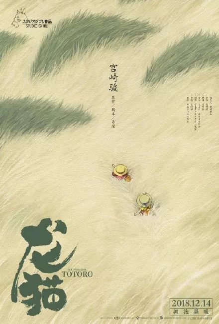 阿根廷驾驶执照样本照片